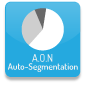 A.O.N auto-segmentation